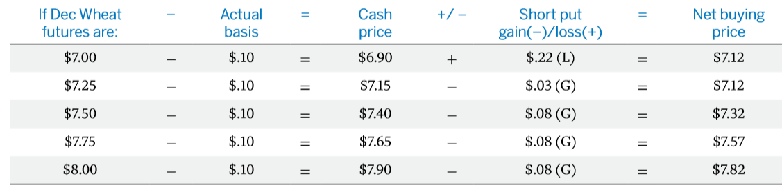 strategy buy put 1