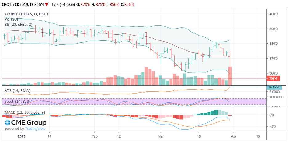 ZC daily