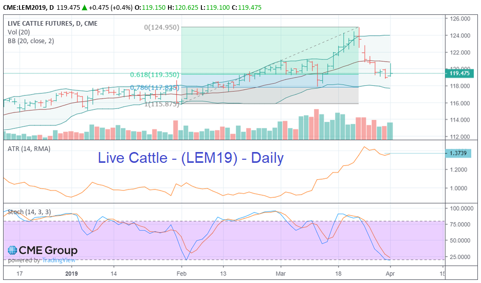 LC daily