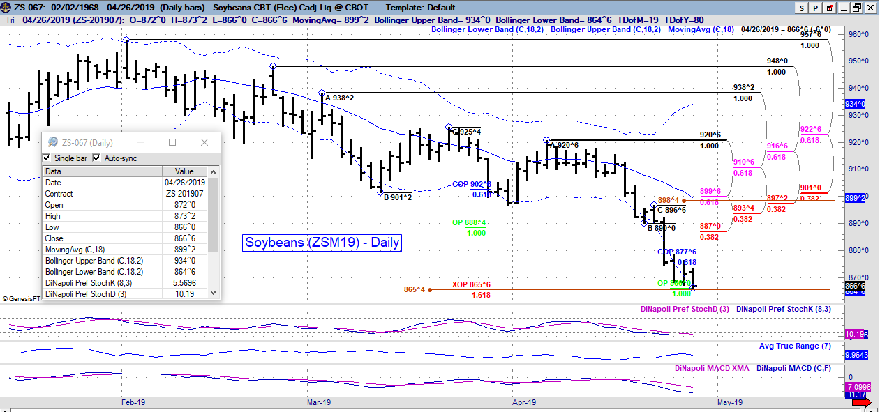 zs daily